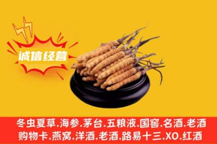 黄南尖扎县回收冬虫夏草